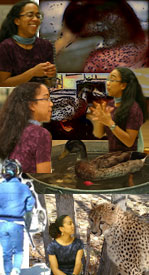 keaproductions about us aka the kea
