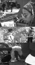 keaproductions contact us
